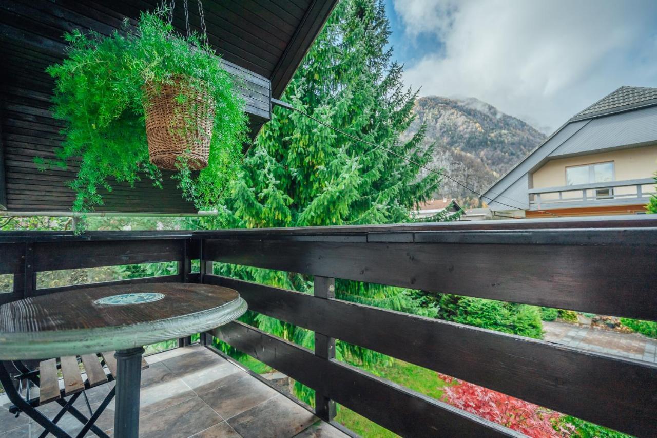Apartma Borovc Мойстрана Экстерьер фото