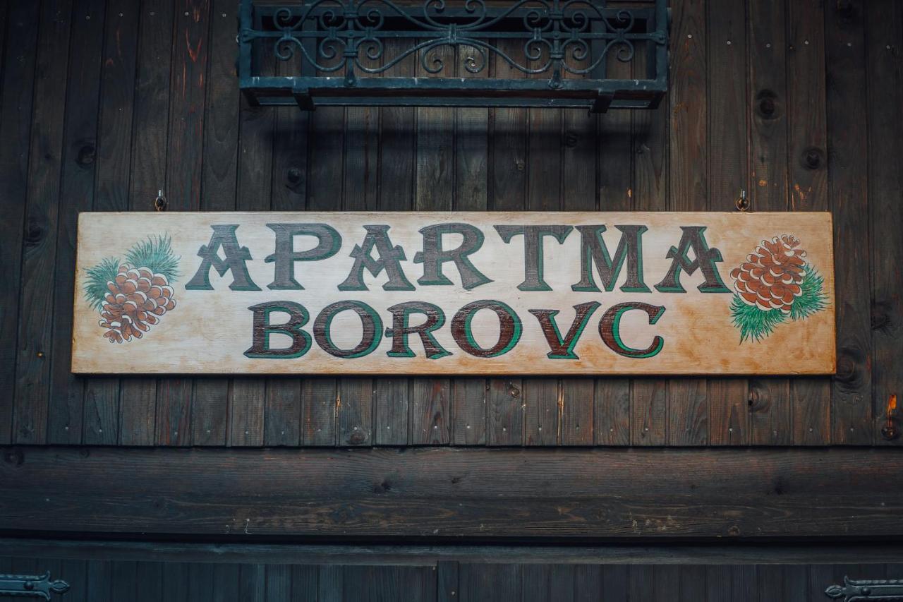 Apartma Borovc Мойстрана Экстерьер фото